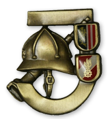 Feuerwehrjugendleistungsabzeichen Bronze