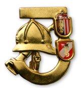 Feuerwehrjugendleistungsabzeichen Bronze