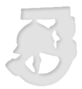 Feuerwehrjugendleistungsabzeichen Bronze