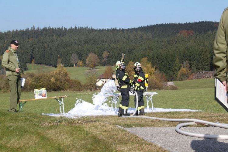 Banddienstleistungsprüfung